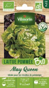 Laitue Pommée May Queen - BIO